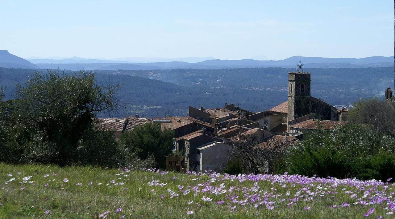 La Rose Des Vents Bed & Breakfast Montauroux Bagian luar foto