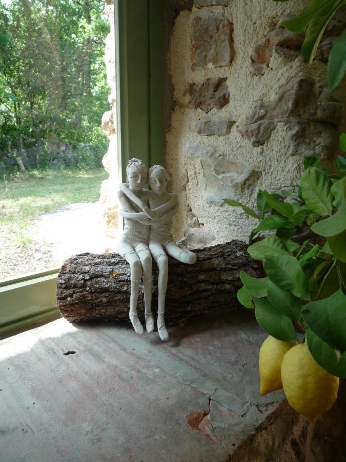 La Rose Des Vents Bed & Breakfast Montauroux Bagian luar foto
