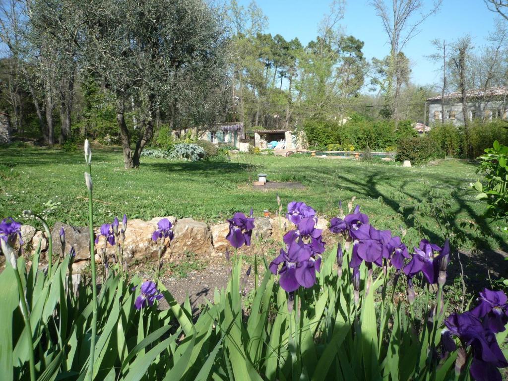 La Rose Des Vents Bed & Breakfast Montauroux Bagian luar foto